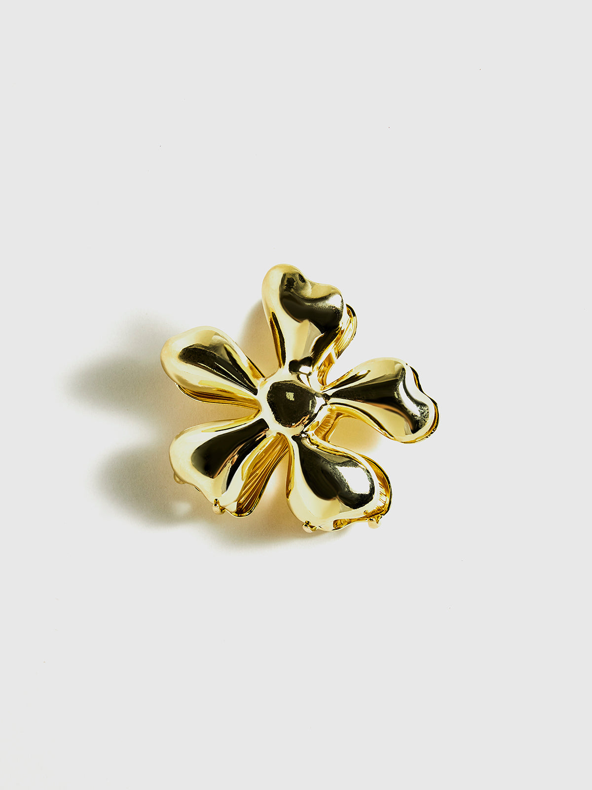 Hårklo med gyllene blommor 